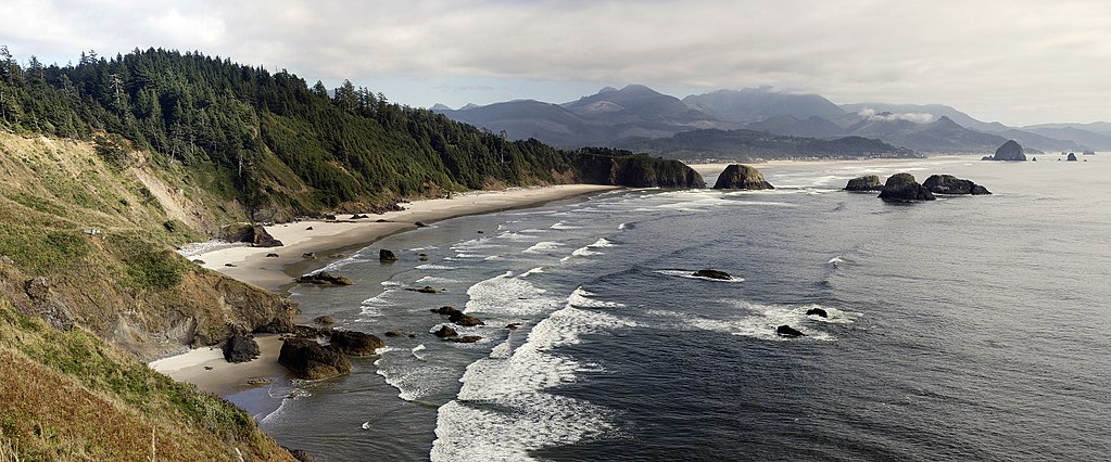 Aerial photo of coastline